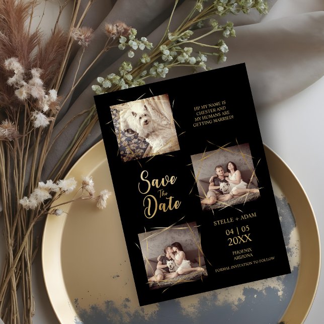 Pet Black Stylish Modern Calligraphy 3-Photo (Pet Black Stylish Modern Calligraphy 3-Photo Save the Date Cards.)