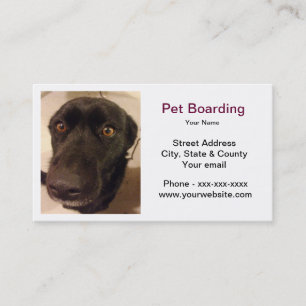 Pet Boarding Business Card