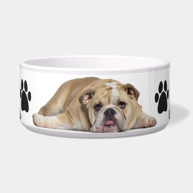 Pet Bowl/Bull Dog Bowl (Front)
