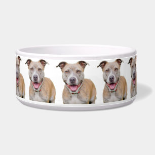 Pet Bowl/Pitbull Bowl