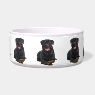 Pet Bowl/Rottweiler Bowl