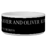 Xavier and Oliver   Pet Bowls
