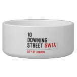 10  downing street  Pet Bowls
