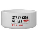 Stray Kids Street  Pet Bowls