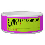 Khanyisile Tshabalala Street  Pet Bowls