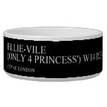 Ellie-vile  (Only 4 princess')  Pet Bowls