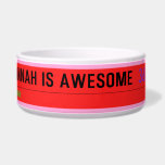 Hannah is awesome   Pet Bowls