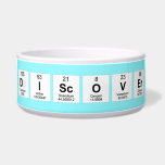 Discover  Pet Bowls