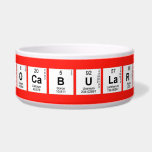 Vocabulary  Pet Bowls