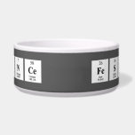 science  festival  Pet Bowls