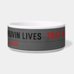 Dhruvin lives   Pet Bowls