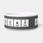 Anthony Anico  Pet Bowls