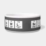 Snowy owl scientist  Pet Bowls