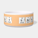 JESSICA MY TRUE LOVE  Pet Bowls