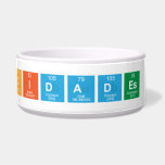 Felicidades Ray   Pet Bowls