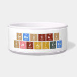 Sebastian
 Salvatierra  Pet Bowls