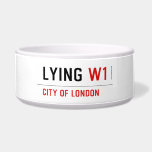 Lying  Pet Bowls