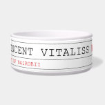 vincent vitaliss  Pet Bowls