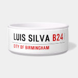 Luis Silva  Pet Bowls