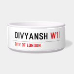Divyansh  Pet Bowls