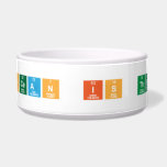Which ocean is the largest?  Pet Bowls