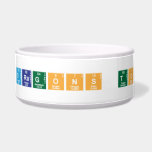 Follow Dragons to Success  Pet Bowls