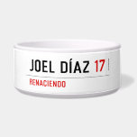 JOEL DÍAZ  Pet Bowls