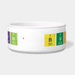 Bankin' BuckS  Pet Bowls