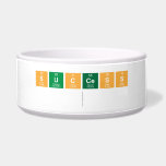 success
   Pet Bowls