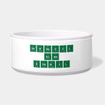 Ashraful
 Alam
 Shemul  Pet Bowls