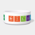 I Am Brilliant  Pet Bowls
