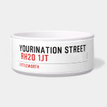 YOURINATION STREET    Pet Bowls
