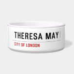 THERESA MAY  Pet Bowls