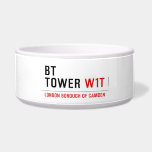 BT TOWER  Pet Bowls