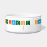 EXPERIMENT STATION
   Pet Bowls