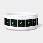 REACTOPIA  Pet Bowls