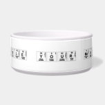 How To DOUBLE Your Monthly Profits   Pet Bowls