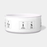 Science is Fun!  Pet Bowls