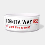 Cognita Way  Pet Bowls