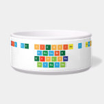 XII FERIA DE CIENCIAS Y TECNOLOGÍA
 DESCUBRE 
 EXPLORA
 INVESTIGA  Pet Bowls