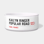 Kailyn ringer Popular road  Pet Bowls