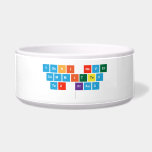 Yoshi Never
 Committed
 Tax Fraud
   Pet Bowls