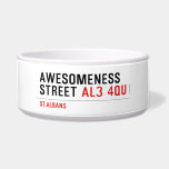 awesomeness street  Pet Bowls