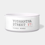 Yushantha  Street  Pet Bowls