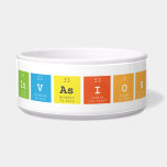 Invasion  Pet Bowls