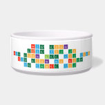 never gonna
 give you up
 never gonna let you down
 never gonna run around
 and dessert you  Pet Bowls