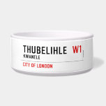 Thubelihle   Pet Bowls