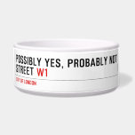 Possibly yes, probably not  Street  Pet Bowls