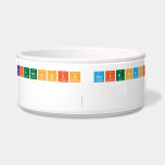 Friendship Scientists
 
   Pet Bowls