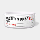 Mester Modise  Pet Bowls